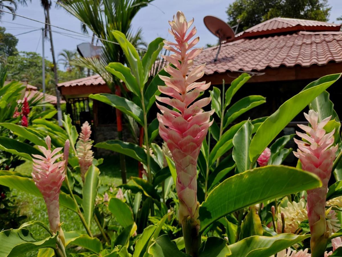 Bungalows Malu Cahuita Exterior photo